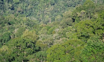 Chuỗi giá trị nông sản–chìa khóa nâng sinh kế đồng bào dân tộc Gia Lai