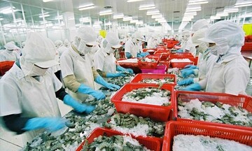 Xuất khẩu thủy sản duy trì đà tăng trưởng nhờ nhu cầu phục hồi