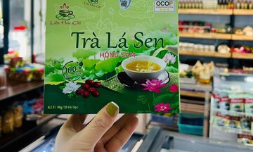 Phú Thọ: Nâng cao thu nhập từ mô hình sản xuất trà sen VietGap