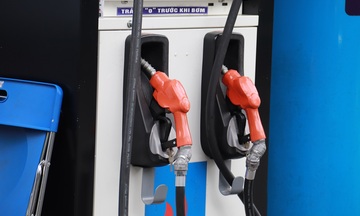 Giá xăng dầu hôm nay 19/08/2025: Thị trường ổn định