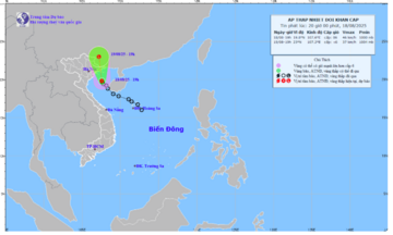 Thời tiết biển hôm nay 19/8/2025: Tin áp thấp nhiệt đới khẩn cấp