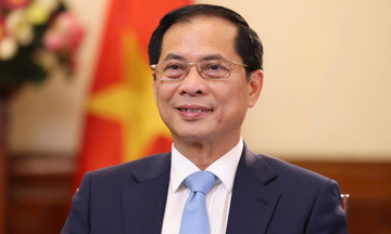 Ngoại giao kinh tế: Động lực quan trọng đưa đất nước phát triển, hội nhập sâu rộng