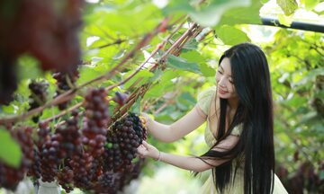 Mô hình du lịch trải nghiệm nông nghiệp mở đường giảm nghèo ở Vân Sơn