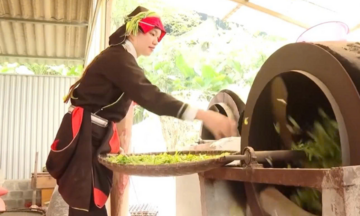 Người Dao Cao Bồ đổi đời từ hương trà Shan tuyết trăm tuổi