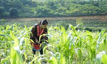 Giảm nghèo sau 2025: Hướng tới chất lượng và bền vững