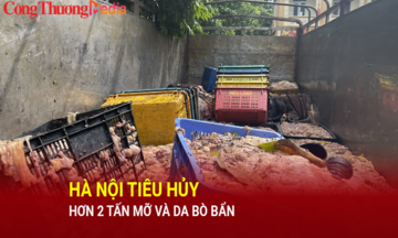 Hà Nội: Quản lý thị trường tiêu hủy hơn 2 tấn mỡ và da bò bẩn