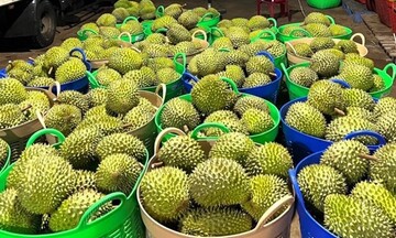 Tin Công Thương 22/8: Rau quả xuất khẩu đạt hơn 4,6 tỷ USD sau 8 tháng
