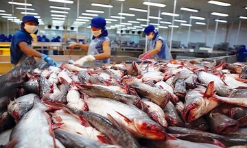 Xuất khẩu cá tra sang Brazil tăng mạnh, vượt mốc 105 triệu USD