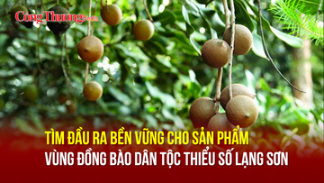 Tìm đầu ra bền vững cho sản phẩm vùng đồng bào dân tộc thiểu số Lạng Sơn