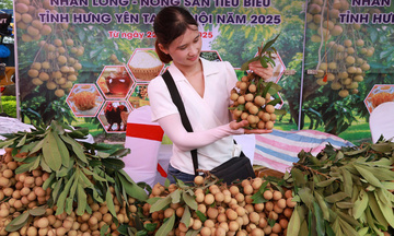 'Vương giả chi quả' vững ngai vàng nhờ OCOP