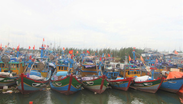 Quảng Ngãi: Kêu gọi tàu thuyền vào bờ, chủ động sơ tán dân vùng nguy cơ sạt lở