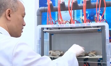 GS.VS Nguyễn Quốc Sỹ: Trở về để cống hiến cho đất nước