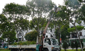 Đà Nẵng: Trước bão số 5, còn hàng chục nghìn hecta hoa màu, thủy sản chưa thu hoạch