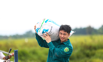 Nông dân Hà Tĩnh hối hả gặt lúa trước giờ bão đổ bộ