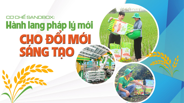 Cơ chế sandbox: Hành lang pháp lý mới cho hoạt động đổi mới sáng tạo