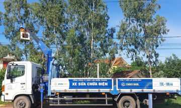 EVNCPC khẩn trương triển khai ứng phó khẩn cấp với bão số 5 (KAJIKI)
