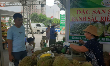 Nông sản Lâm Đồng vươn ra thị trường, đồng bào dân tộc giảm nghèo