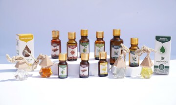 Vinasamex và hành trình đưa quế hồi Việt Nam vươn ra thế giới