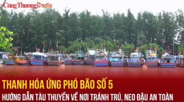 Thanh Hóa: Hướng dẫn tàu thuyền về nơi tránh trú, neo đậu an toàn
