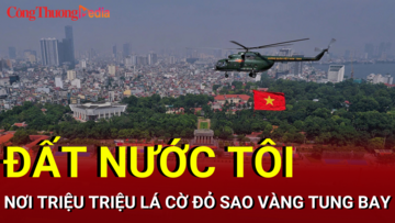 Đất nước tôi có triệu triệu lá cờ đỏ sao vàng tung bay