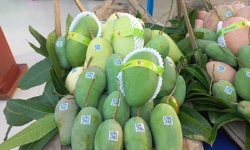 Chuyển đổi số: Chìa khóa mở đầu ra, nâng thu nhập, giảm nghèo bền vững