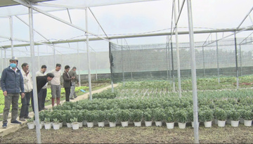 Những mô hình kinh tế giúp đồng bào ở A Lưới 2 thoát nghèo bền vững