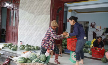 Đà Nẵng: Tiêu thụ hơn 25 tấn dưa Trường Định 'chạy bão' 