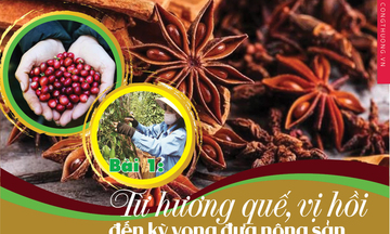 Longform | Nông sản vùng dân tộc: Khẳng định bản sắc, chinh phục thị trường toàn cầu: Bài 1