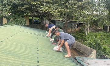 Dự báo chiều tối 25/8 bão số 5 di chuyển vào vùng biển giật cấp 15-16