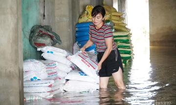 Thanh Hóa: Nước lũ tràn vào bất ngờ, 'nuốt chửng' 15 tấn phân bón trong chớp mắt