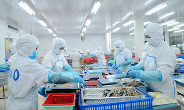 Cổng FTAP cập nhật thông tin mới nhất về quy tắc xuất xứ trong RECP