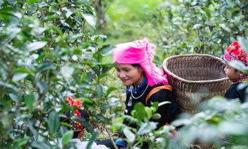 Tăng cường giám sát, khơi thông nguồn lực, bảo đảm giảm nghèo bền vững