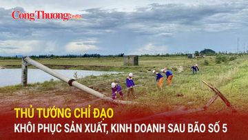 Thủ tướng chỉ đạo khôi phục sản xuất, kinh doanh sau bão số 5