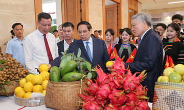 Ấn tượng sản phẩm OCOP Sơn La tại Hội nghị tổng kết Chương trình xoá nhà tạm, nhà dột nát