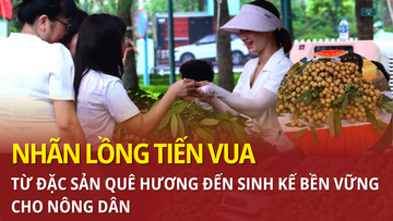 Nhãn lồng tiến vua: Từ đặc sản quê hương đến sinh kế bền vững cho nông dân