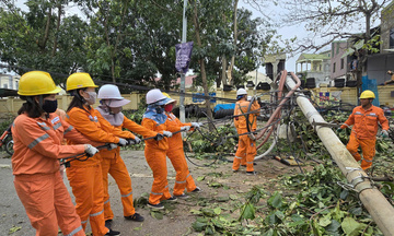 100% khách hàng bị ảnh hưởng bão số 5 được cấp điện trở lại ngày 29/8
