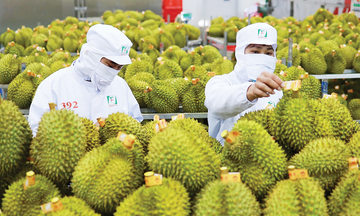 Thủ tướng chỉ đạo tăng cường truy xuất nguồn gốc nông, lâm, thủy sản xuất khẩu