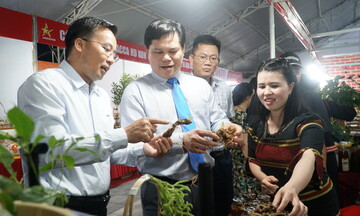 Khai mạc Hội chợ Công Thương và OCOP Quảng Ngãi năm 2025