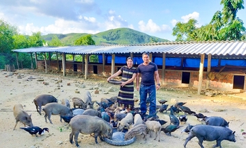 Đồng bào Cơ Tu ở Nam Giang đổi thay nhờ giảm nghèo bền vững