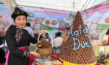 Niềm vui sinh kế của đồng bào trong mùa rừng chín