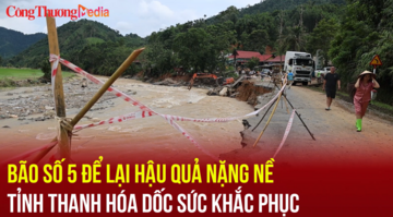 Thanh Hóa dốc sức khắc phục hậu quả bão số 5