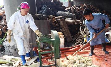 Sinh kế bền vững từ chăn nuôi an toàn sinh học 