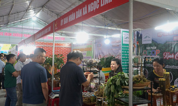 Quảng Ngãi: Kết nối giao thương hàng hóa từ Đông sang Tây