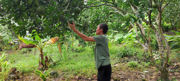 Chuyển hướng chính sách giảm nghèo: Từ trợ cấp sang tạo sinh kế 
