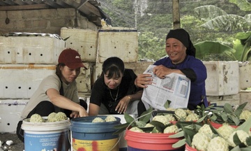 Xúc tiến thương mại nâng tầm thương hiệu nông sản miền núi