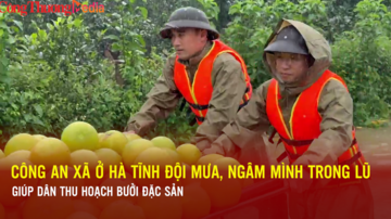 Hà Tĩnh: Công an đội mưa, ngâm mình trong lũ giúp dân thu hoạch bưởi