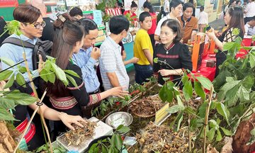Mở rộng thị trường nông sản, thúc đẩy phát triển kinh tế vùng đồng bào