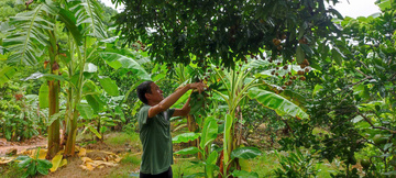 Giảm nghèo bền vững: Bước tiến mạnh mẽ, hướng tới bao trùm và bền vững