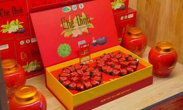 Chè Hảo Đạt: Tinh hoa trà Tân Cương, tự hào thương hiệu Việt