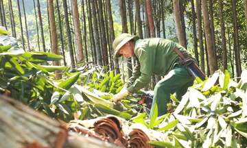 Trao nghề để thoát nghèo bền vững